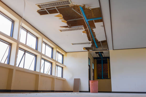 Best Commercial water damage restoration  in West Babylon, NY