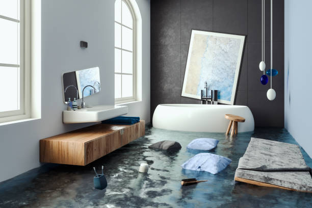 Best Flooded house restoration  in West Babylon, NY