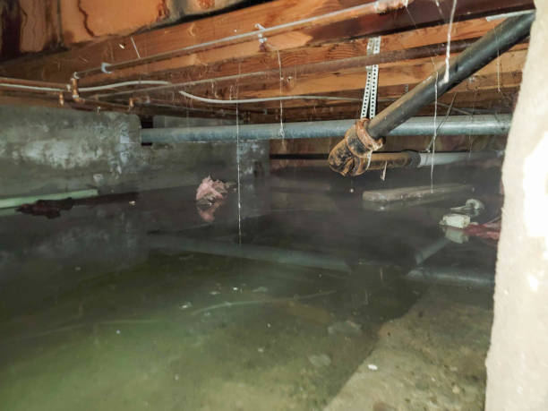 Reliable West Babylon, NY Water damage restoration Solutions