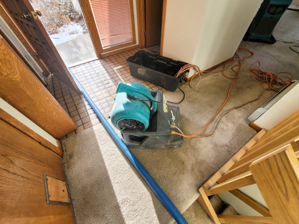 Best Flooded house restoration  in West Babylon, NY