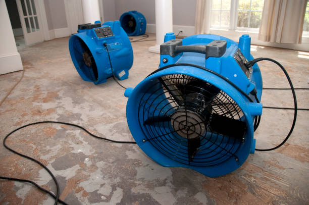Best 24-hour water damage restoration  in West Babylon, NY